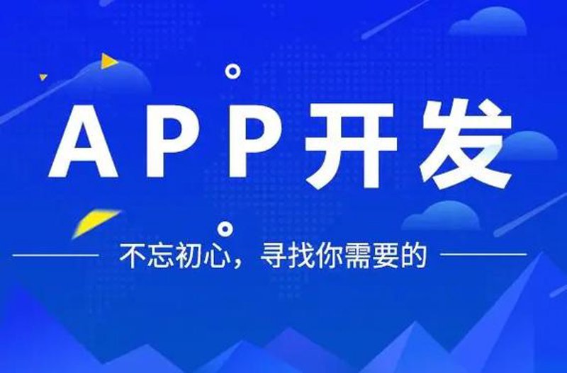 选购杏子网络服务指南：打造您的数字桥梁